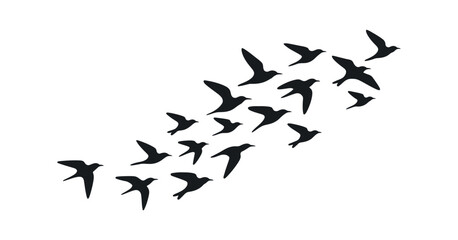 Silhouette of a Flock of Birds Flying in Formation Against a White Background Symbolizing Freedom and Movement in a Minimalist Design