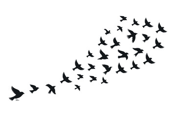 Silhouette of Flying Birds on White Background Symbol of Freedom and Peace Vector Illustration for Design