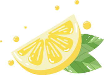 lemon slice on white background. vector illustration