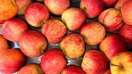 Pile of Fresh Crimson and Yellow Striped Apples, High Angle CloseUp View in Abundance