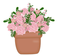 flowers in pot