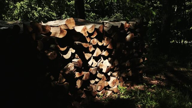 Close-up view of cut firewood logs showing textures and tree rings in Staro Selo, Serbia. Horizontal 4k footage