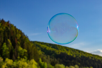  Multicolored soap bubble with defocused fir tree forest mountain background, abstract backdrop