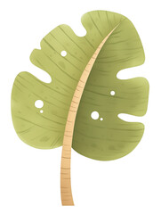 Cartoon watercolor green monstera leaf illustration on a white background