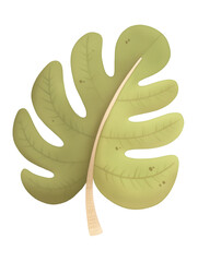 Cartoon tropical green leaf illustration on a white background