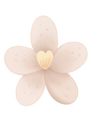 Cartoon pink flower illustration on a white background