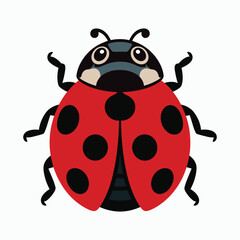 Ladybug Vector illustration Isolated on white background.