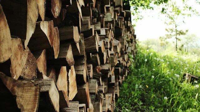 Firewood neatly stacked alongside a meadow full of dandelions in the Staro Selo village. Horizontal 4k footage.
