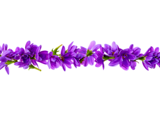 Purple Flower Border Elegant Floral Design Element for Invitations and Decorations