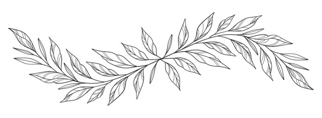 floral leaves line art isolated on white background. Divider doodle leaf and flowers, nature border decorative element vector illustration