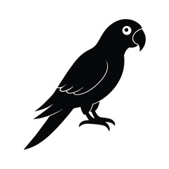 Obraz premium Parrot Preening Vector Silhouette