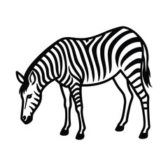 Obraz premium Zebra Grazing Vector Silhouette