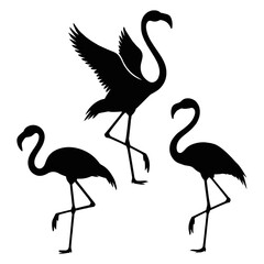 Fototapeta premium Silhouette of three flamingos in various poses