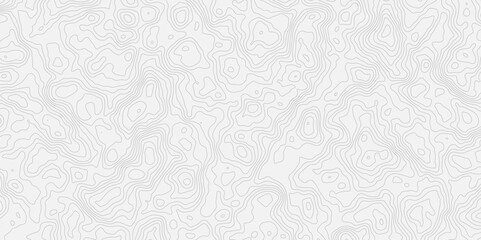 Obraz premium modern white and grey wavey line topography minimalist contour map design featuring and suitable for artistic purposes.