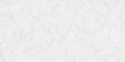 Obraz premium modern white and grey wavey line topography minimalist contour map design featuring and suitable for artistic purposes.