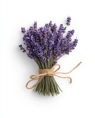 A neat bouquet of dried lavender stems tied with rustic twine against a plain white background.