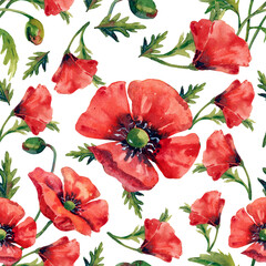 Large red poppy flowers, collection of watercolor flowers, seamless pattern on white background.