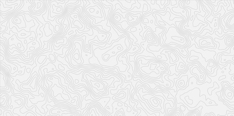 modern white and grey wavey line topography minimalist contour map design featuring  and suitable for artistic purposes.