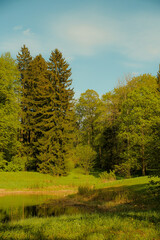 Scenic natural landscape with a calm pond surrounded by lush green grass and tall coniferous and deciduous trees under a clear blue sky. 