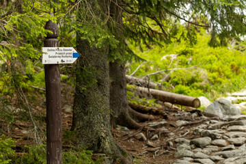  trail markers on the hiking path to Morskie Oko lake in Tatra Mountains near Zakopane, Poland, guiding through scenic alpine forest and mountain landscape © Point of view