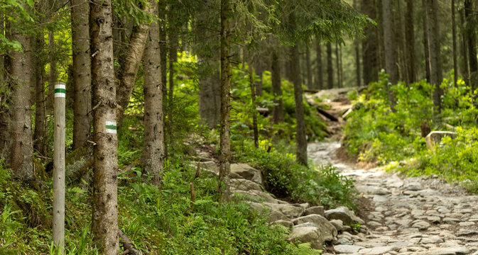 Green trail markers on the hiking path to Morskie Oko lake in Tatra Mountains near Zakopane, Poland, guiding through scenic alpine forest and mountain landscape