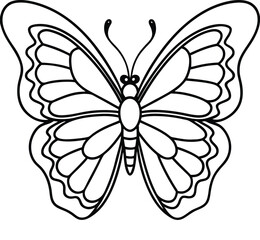 butterfly vector illustration
