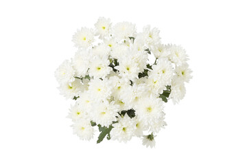 White chrysanthemum bouquet isolated on transparent background