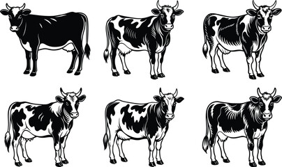 Six Black and White Cows Farm Animals Dairy Cattle