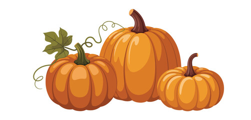 Three pumpkins with vine and leaf illustration