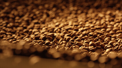 Roasted coffee beans cooling down after roasting