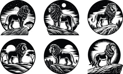 Majestic Lions on Rocks Night Scenes African Wildlife