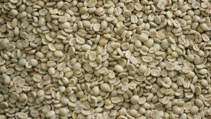Raw coffee beans forming textured background for
