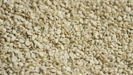 Raw coffee beans forming a textured background for