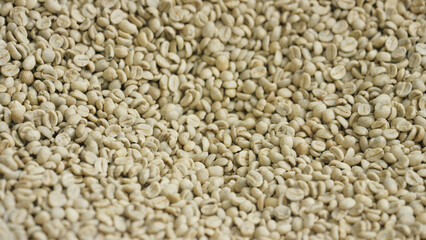 Raw coffee beans piled high, ready for roasting