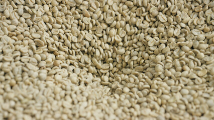Raw coffee beans forming a texture background