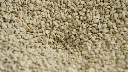 Raw coffee beans forming a soft hill of green