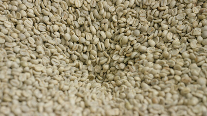 Raw coffee beans forming a texture background for