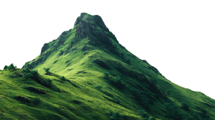 Lush green mountain landscape with dense vegetation and isolated trees showcasing a majestic and serene natural environment for travel and exploration concepts.