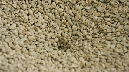 Green coffee beans rotating in a coffee roaster