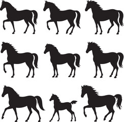 Horse Silhouette Vector Set – 8 Black and White Icons of Different Breeds and Poses