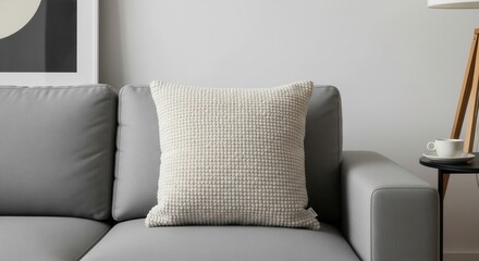 neutral textured throw pillow on modern gray sofa in living room
