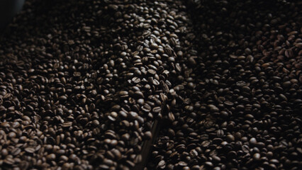 Roasted coffee beans moving on conveyor belt in