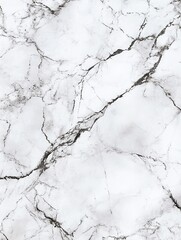 Fototapeta premium Elegant White Marble Texture. A high-resolution image of a pristine white marble with subtle veins, perfect for showcasing its luxurious texture and pattern.