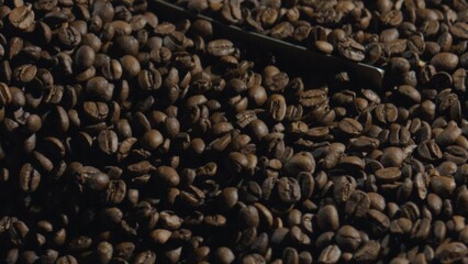 Metal scoop resting on roasted coffee beans