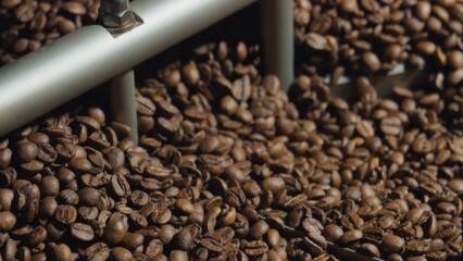 Coffee beans cooling down after roasting in