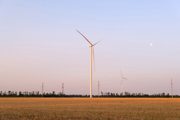 Two wind turbines stand in a vast golden wheat field under a clear twilight sky, with the moon...
