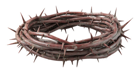 Fototapeta premium Crown of thorns isolated on png transparent background