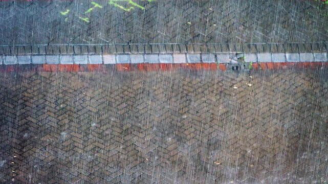 The beginning of the rainy season. A tropical downpour, blirt. The monsoon wind shakes the trees violently, Indonesia
