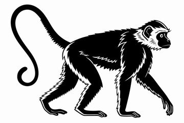 monkey sihouette black vector