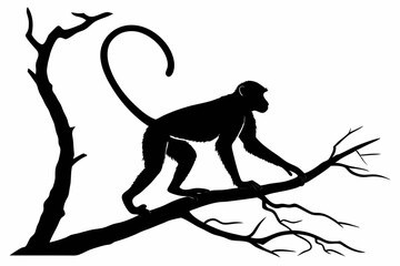 monkey sihouette black vector